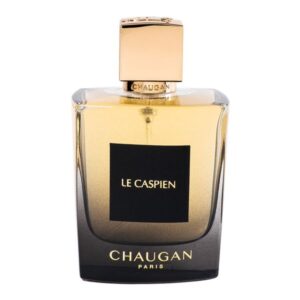 ادوپرفیوم مردانه لو کاسپین چوگان