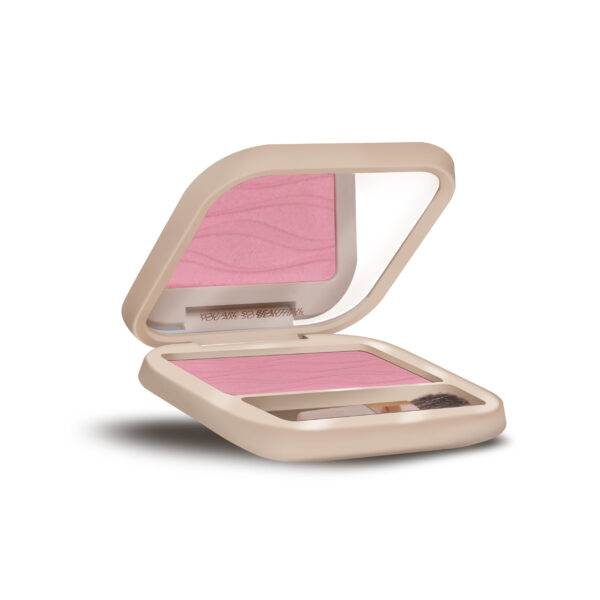 POWDER-BLUSHER-BP503-FLORE BEAUTY
